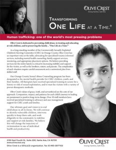 A flyer talks about a non-profit organization's efforts to offer therapy for children and families who are victims of sex trafficking, with a main heading of "Human trafficking: one of the world's most pressing problems." A link to detailed text follows the photo gallery.