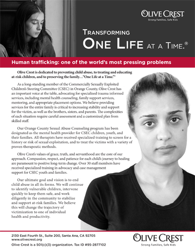 A flyer talks about a non-profit organization's efforts to offer therapy for children and families who are victims of sex trafficking, with a main heading of "Human trafficking: one of the world's most pressing problems." A link to detailed text follows the photo gallery.